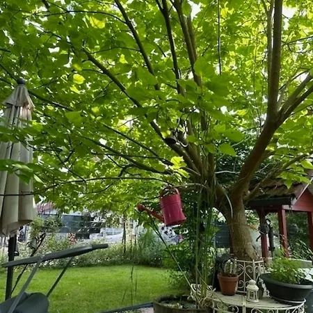 Casita Buena شقة